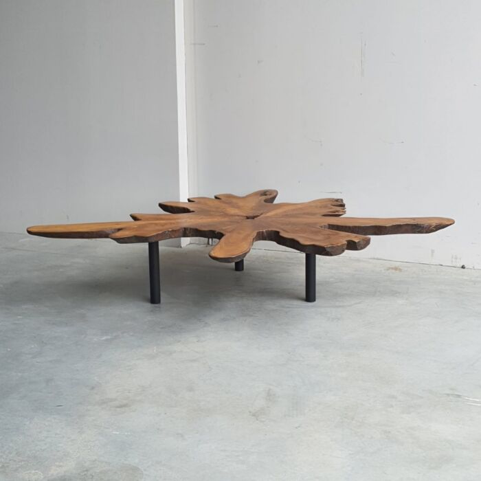 Boomstam Salontafel India