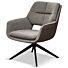  Fauteuil Dragon Grey Brown