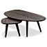 Salontafel Set Jacob en Landon