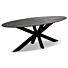 Eettafel Rano Ovaal Spin Poot