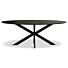 Fenix Tafel Ovaal Diana Mat Zwart