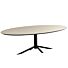  Fenix Tafel Ovaal Diana X-Frame