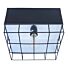 Plafondlamp Cage Industrieel Vintage Black 