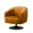  Fauteuil Barga Grijs