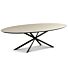  Fenix Tafel Ovaal Diana Kolom Frame