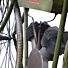Bike Bar Counter Green 