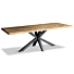  Eettafel Visgraat Mango Ovaal 220cm + Basic Spin