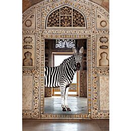 Glasschilderij Oosterse Zebra