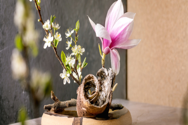 Ikebana: De Japanse bloemschikkunst