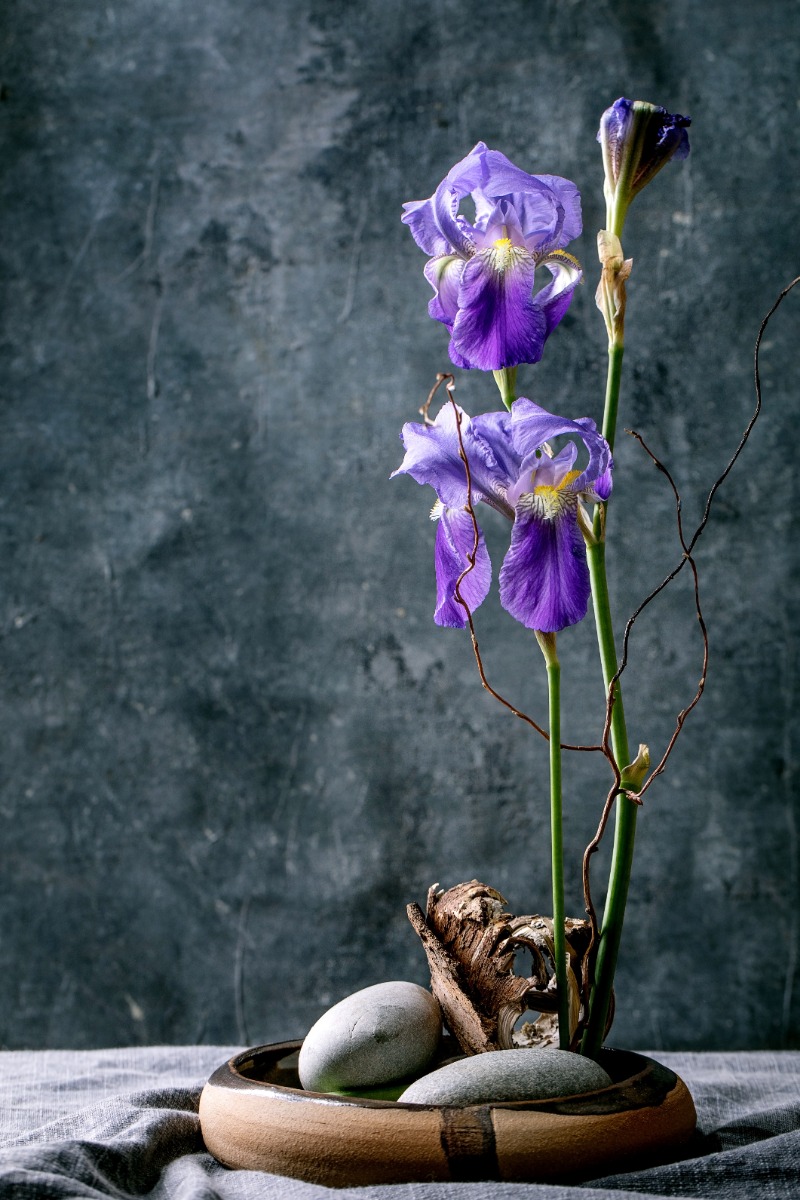 ikebana bloemschikken